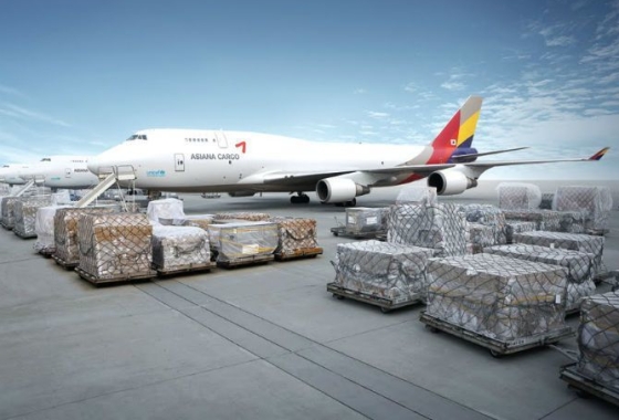 Airfreight Cargo Bali